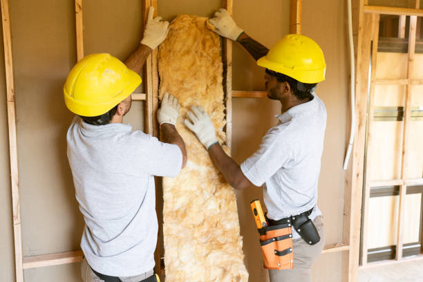 Best Soundproof Insulation  in Cornelia, GA