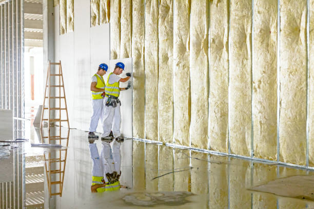 Types of Insulation We Offer in Cornelia, GA